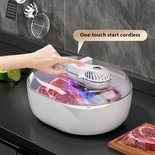 Household Quick Defrosting Plate Food Defrosting